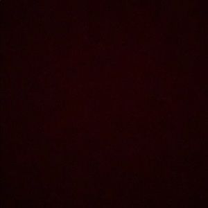 Meet your Posher, Brody